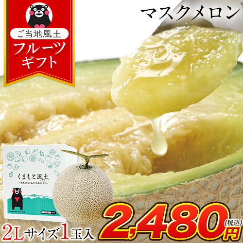 9kg代 静岡 アールスメロン （お中元＞（食品）静岡